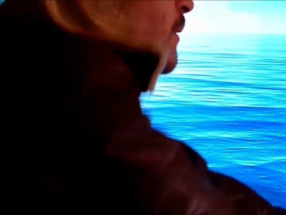 Dolphin show - Resident Evil 4