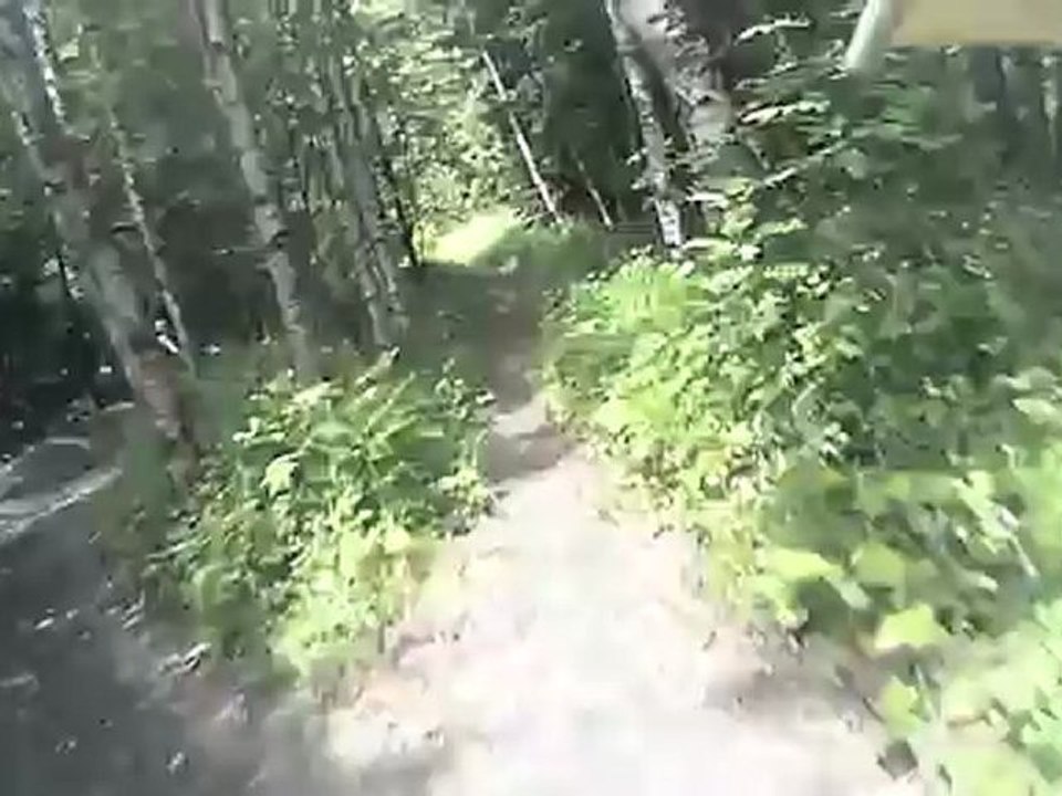 descente de venosc les 2 alpes Free raid 2012 AVI -