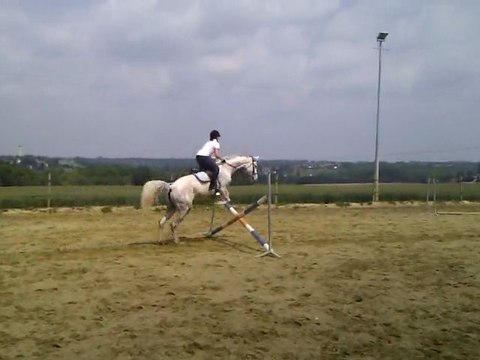 Cours d'équitation obstacle