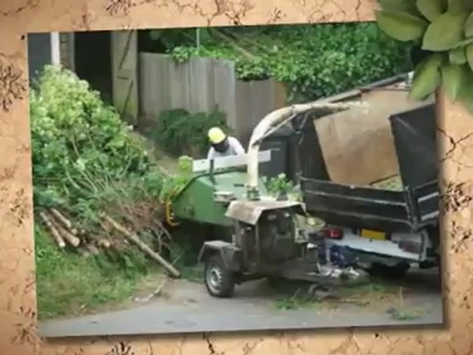 Cross Road Lawn Care - (731)616-1565