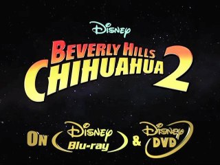 Beverly Hills Chihuahua 2