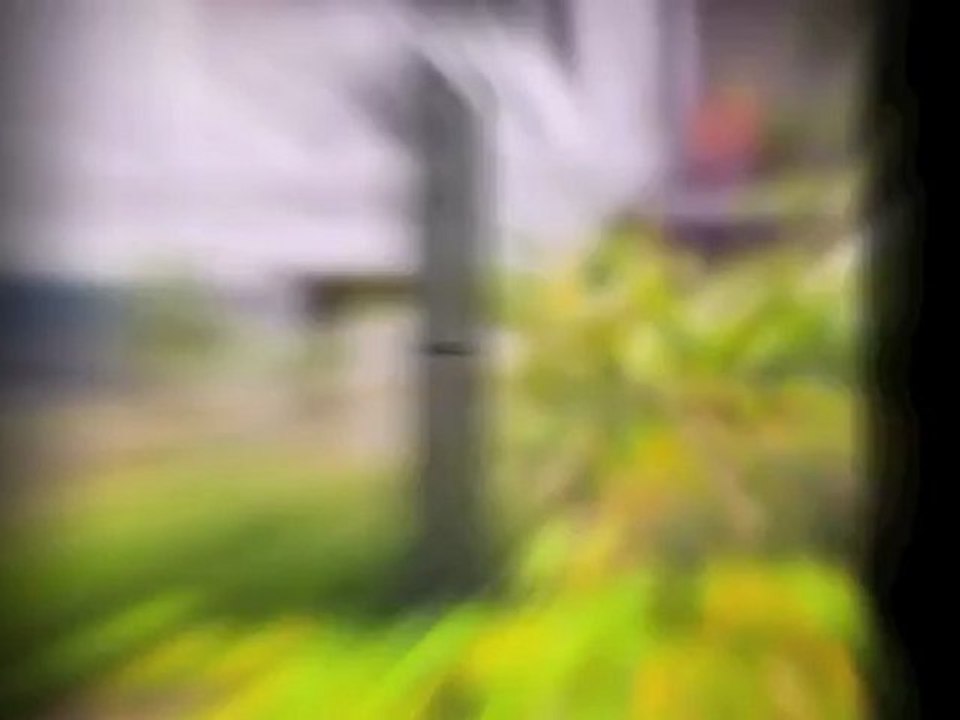 Summertime Wind Chimes