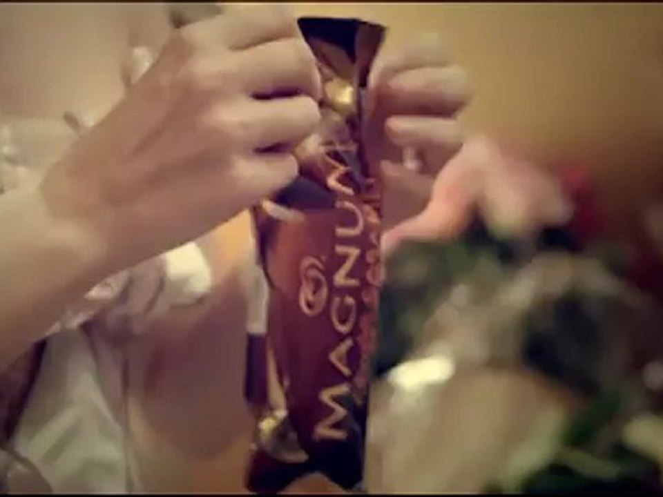 Magnum - Karl Lagerfeld
