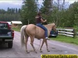 How to train a horse to line up with a mounting block!