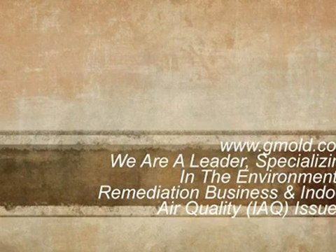 Specialists In Mold Remediation South Florida. Certified Mold Removal Experts South Florida.