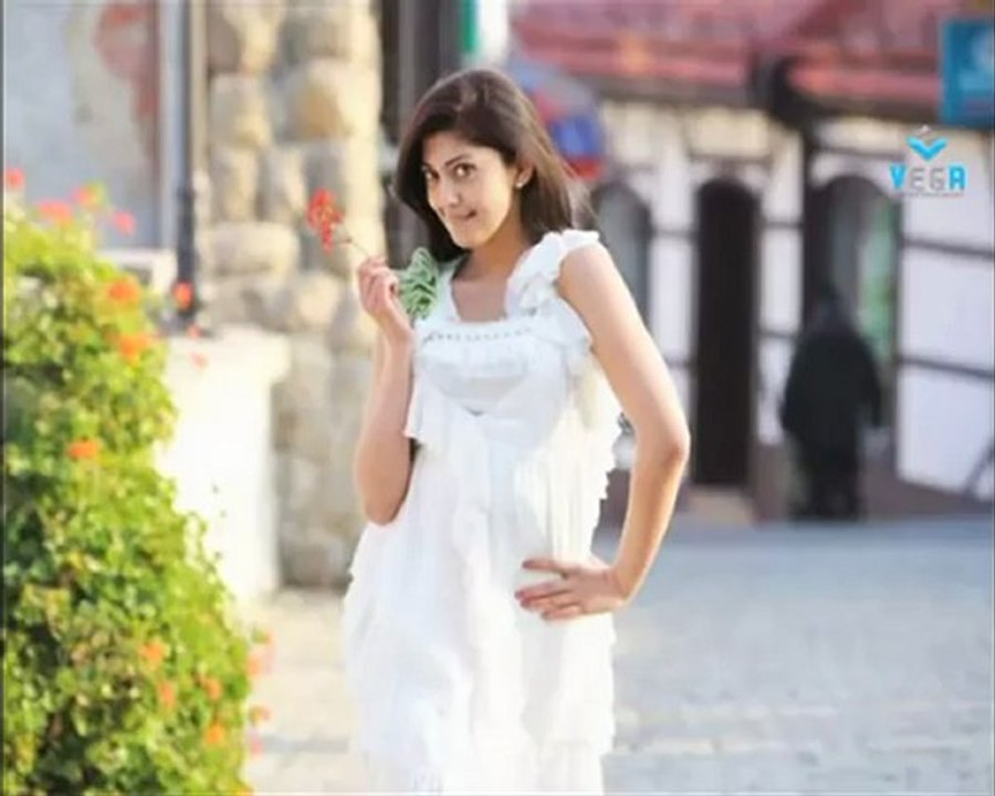 Pranitha Awesome In Saree