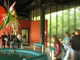 Fin d'année 3ème 2012