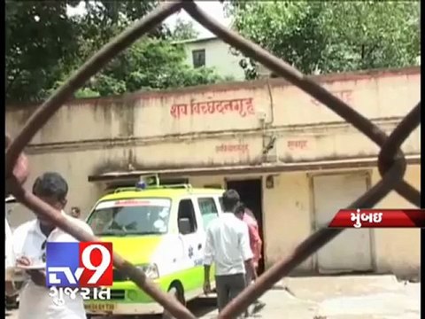 Tv9 Gujarat - Rats nibbled up dead body in hospital, Mumbai