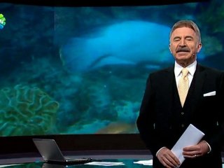 Hoşgeldin Napolyon - 27 haziran 2012