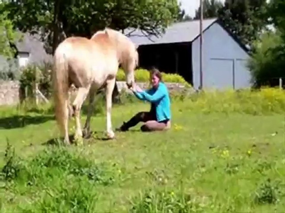 Raz Koat 16 juin 2012