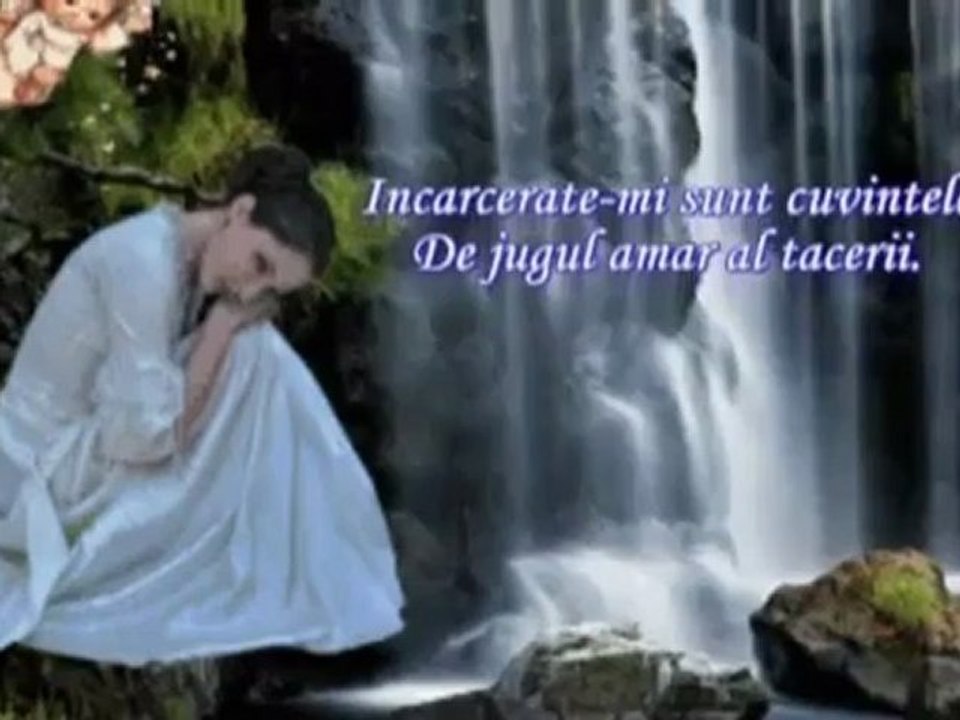 ~PACTUL TACIT AL TACERII~ mpg