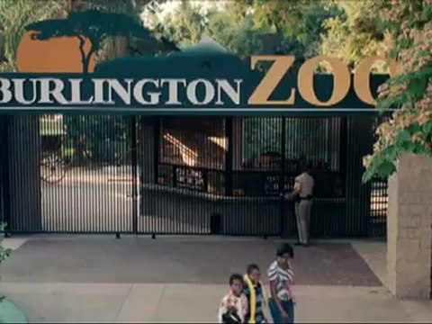 Trailer Dos canguros muy maduros.