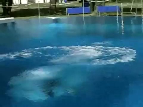 Michaelibad Opening 25/04/2007 (Freibad München)