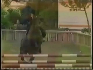 Side Saddle | Horse Riding Championship DVD | Equine DVD