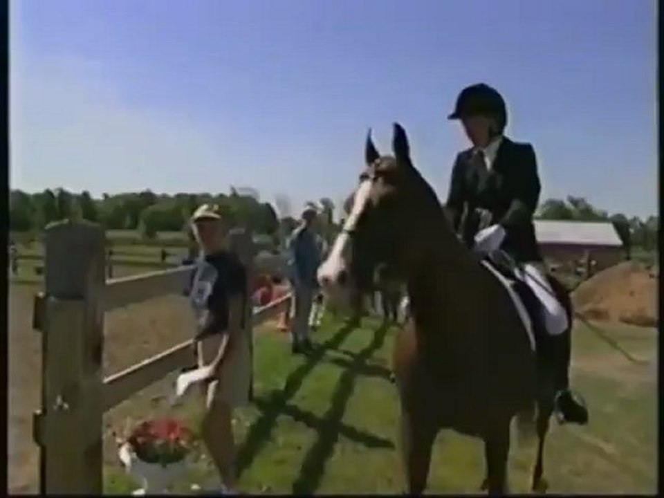 A Brave Olympian - Horse Video, Horse Riding DVD
