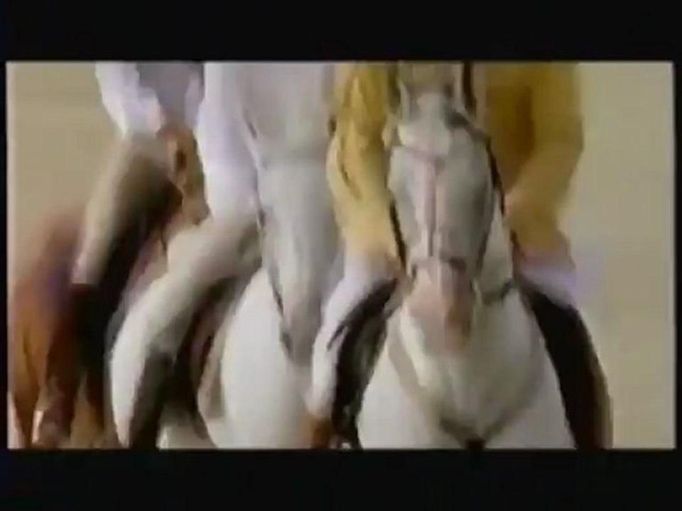 Arabian Desert - Horse Lover Gifts | Videos about Horses | Horse Videos