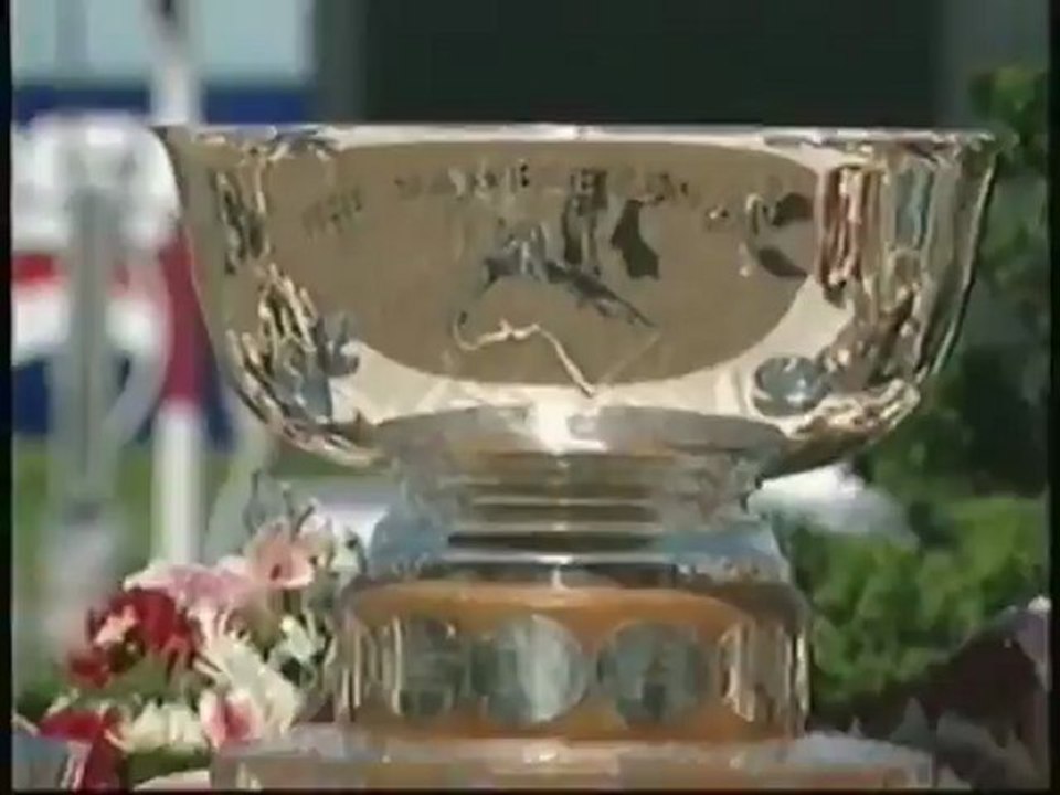 Hambiltonion | Action Equine Horse DVD Package | Horse Videos