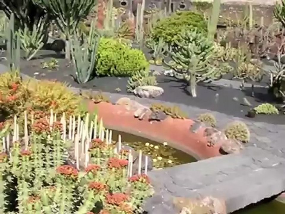 Lanzarote Jardin de cactus - Kaktusgarten Video