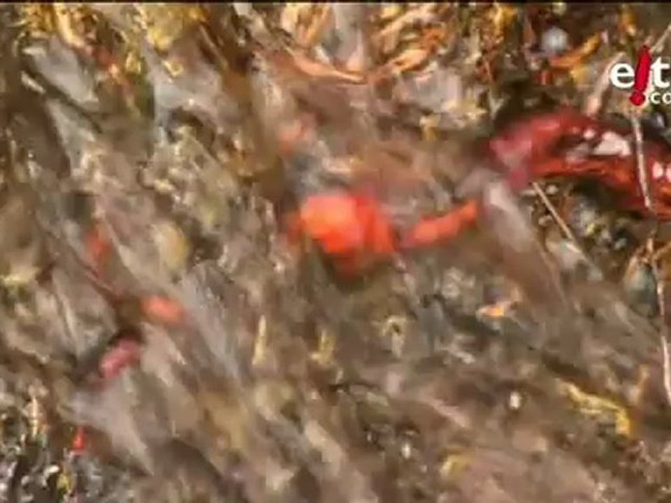 Chiloe: Túnez. Viajes