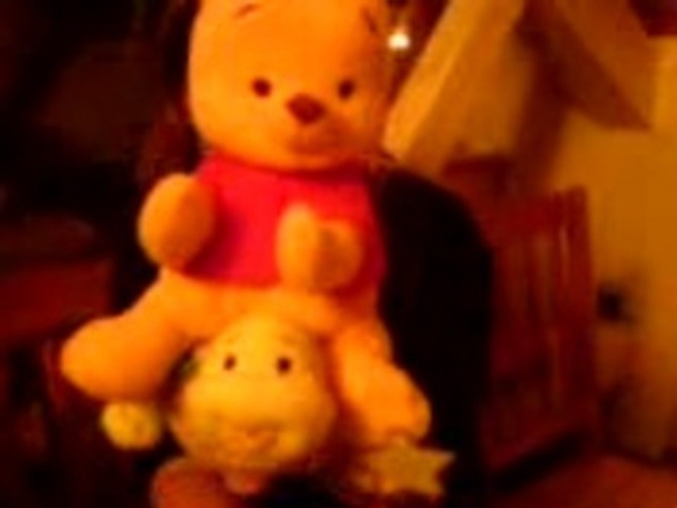 Winnie et la tortue