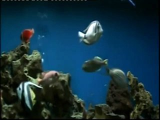 Enigma - 'The Club Mixes' - an HOUR, in stereo HQ