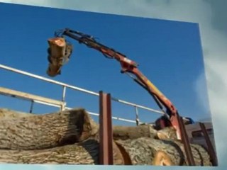 J J Tree Removal (985) 966-7116