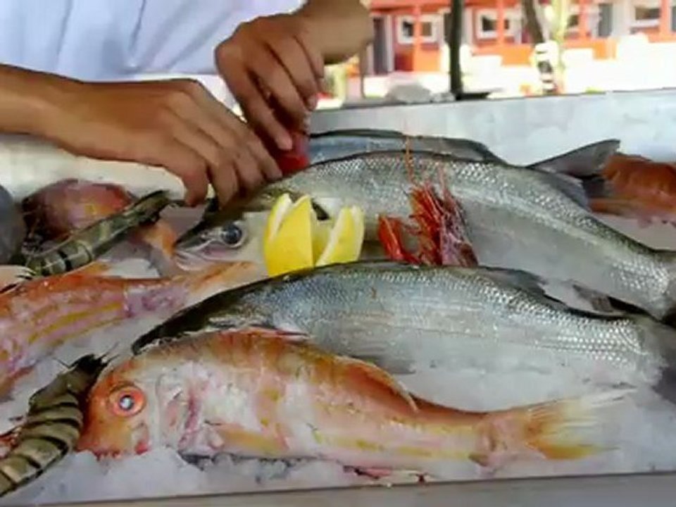 La Terrazza by Made in Casablanca