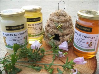 APICULTURE