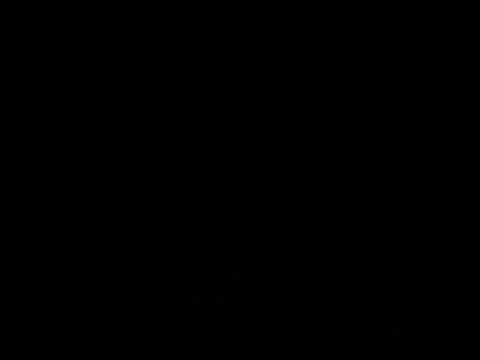 Bruit Moteur Laguna II 1.9 DCi 120