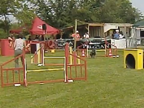 Colchique-Jumping Bourges 240612