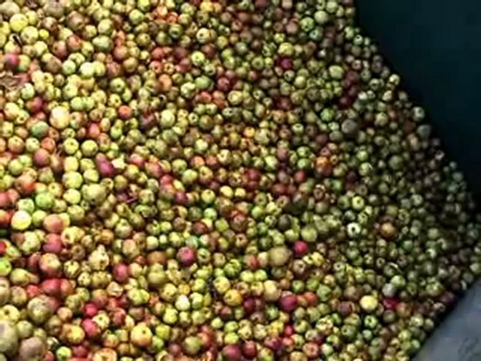 Irish Cider: Magners in Clonmel (Bulmers / Magners)