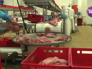 8 juin 2012 - Nouvel atelier de découpe à Vire