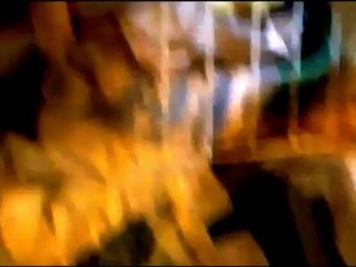 Bretzel le gentil vison (bisous, jeux et poutpout) - my pet mink