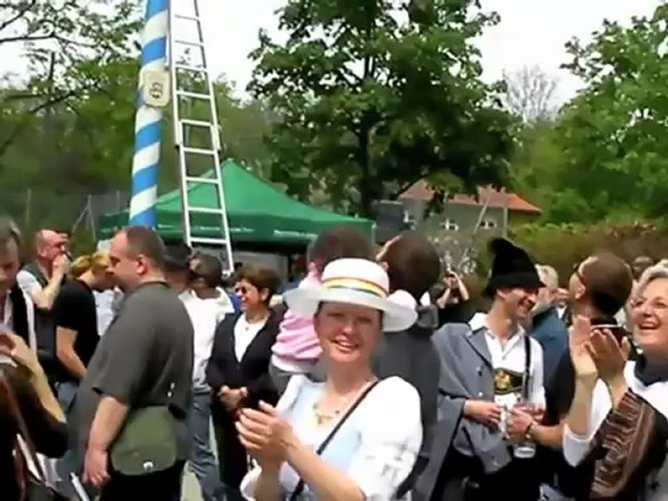 Maibaum 2010 im Glockenbachviertel aus Bodenmais aufgestellt