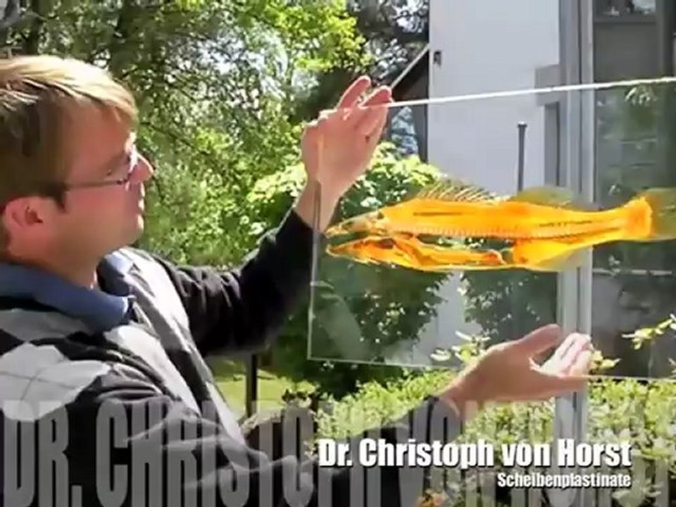 Kunst im Brunnenhof 2010 - Schrobenhausen vom 13-16.05.2010