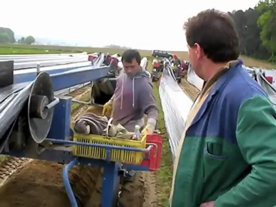 Spargelhof ulrich karl in peutenhausen