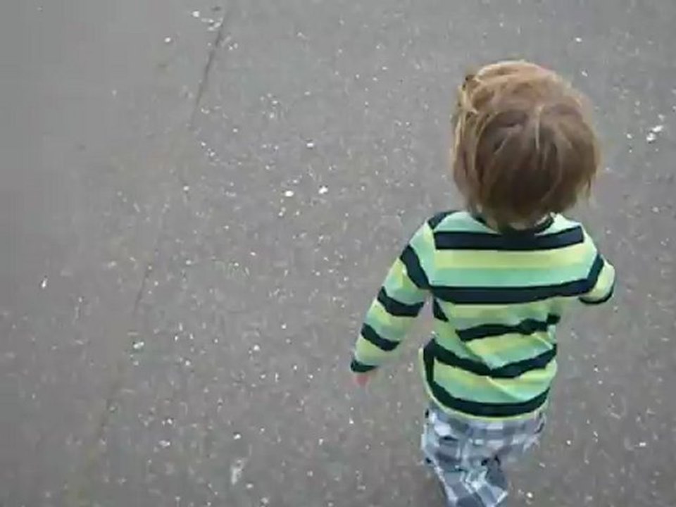Olly on the promenade 1