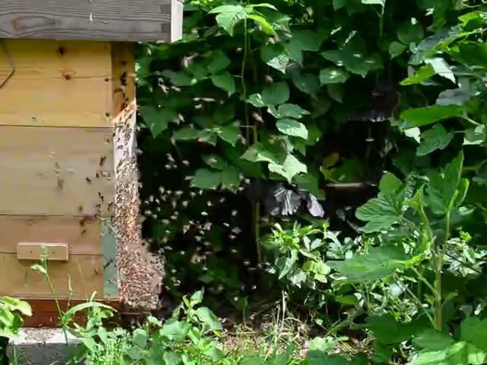 Retour à la maison