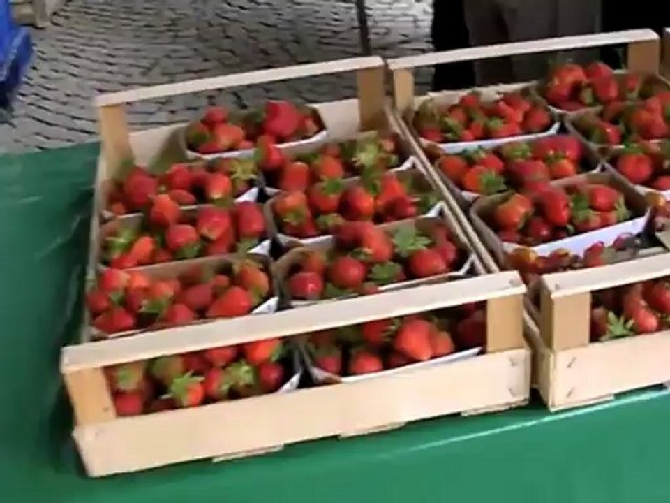 Hoffest waglerhof 2010