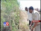 Tv9 Gujarat - Watch how a Dog Threatened a Leopard , Maharashtra