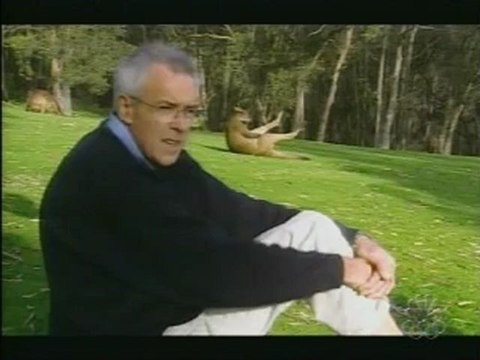 Bored_Kangaroo: bonno van der putten