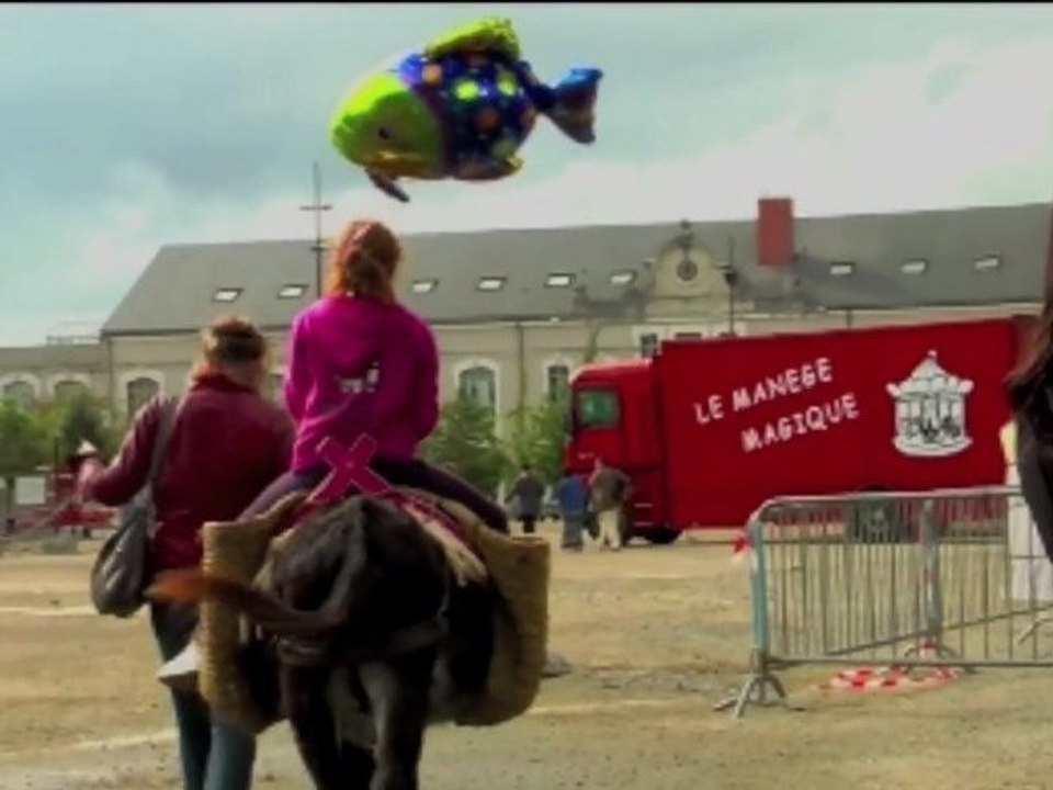 T'CAP  2012