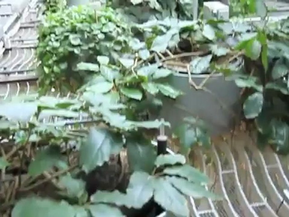 Fünf Höfe München - Impressionen Herbst 2010