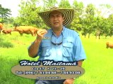 28 JUNIO 2012  beefmaster las americas web
