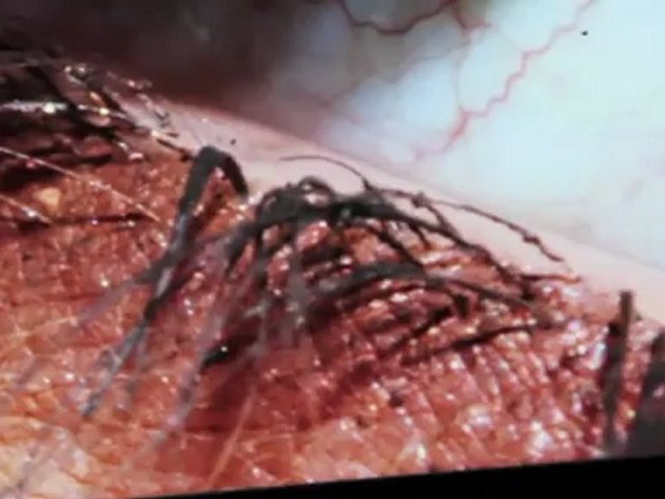 Mandy Grace Capristo @ BeYu Fotoshooting 02.2011