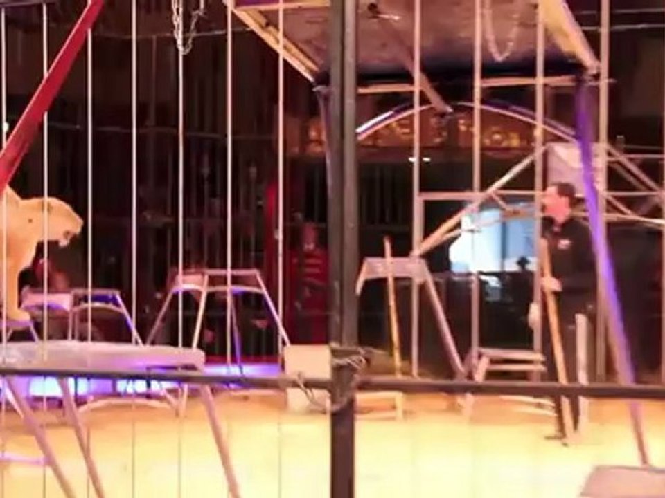 Martin Lacey jr.: öffentliche kommentierte Raubtierproben @ Circus Krone