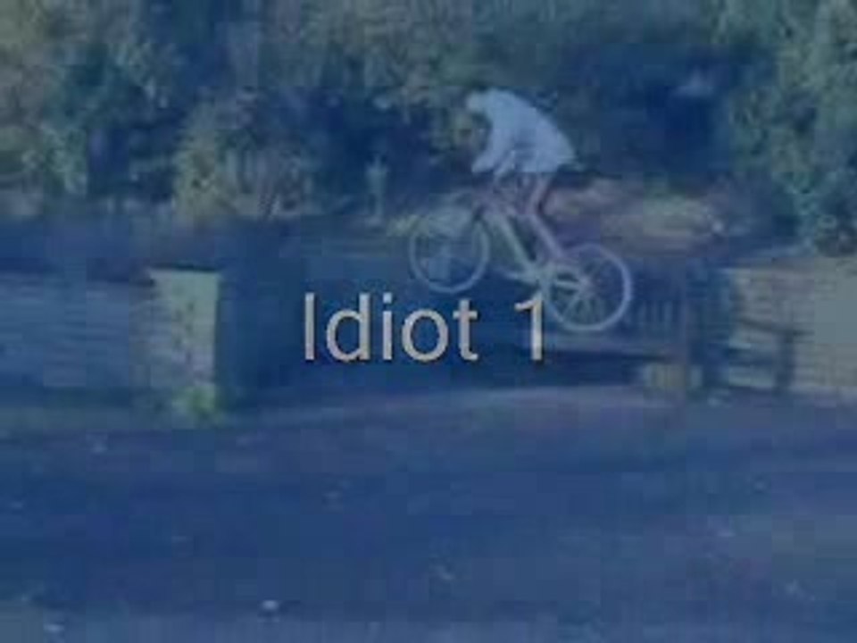 4_idiots