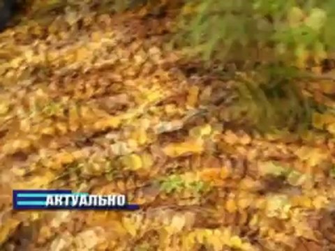 Актуально 27.06.2012