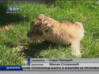 Dnevnik, 28. jun 2012.