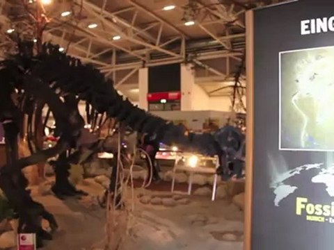 „Munich Show Mineralientage München Impressionen 2011